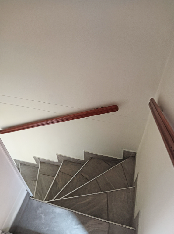 imagen_2026-01-21_233629498