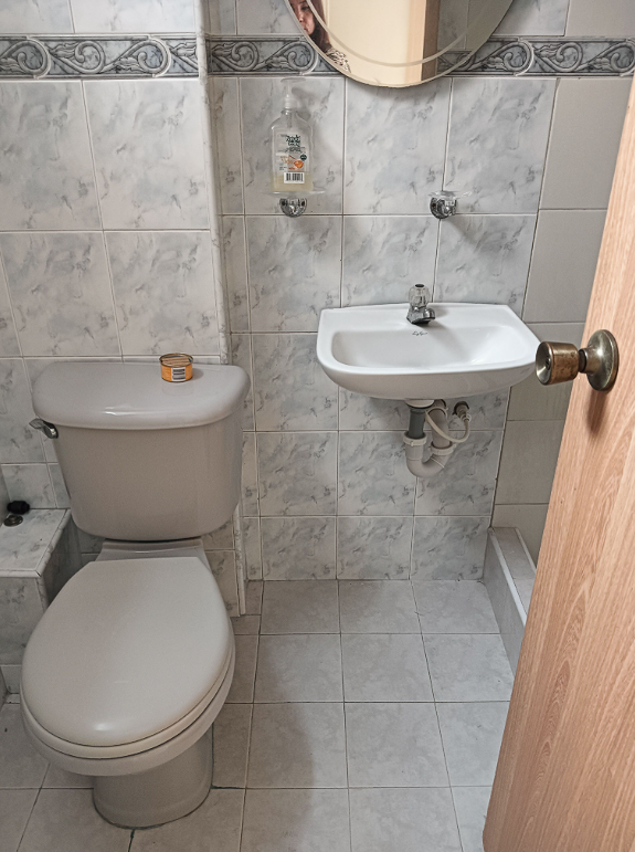 imagen_2026-01-21_233647630