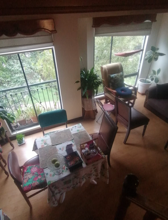 imagen_2026-01-22_003722537