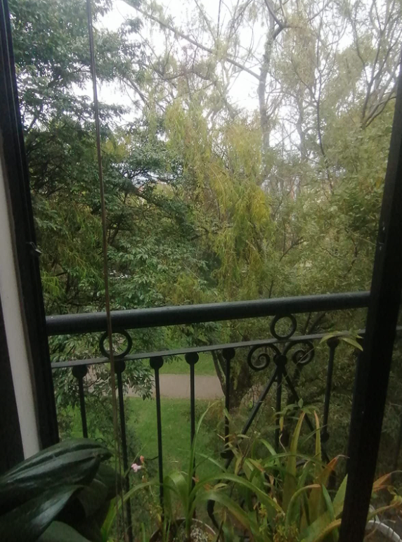 imagen_2026-01-22_003729197